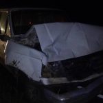 Una camioneta chocó un animal sobre ruta  provincial N°51 a la altura de Britos
